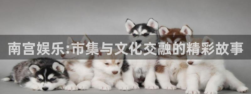 环球360官网会员注册
