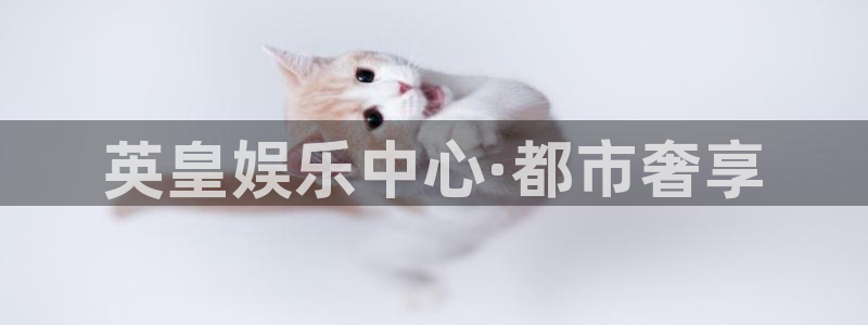 环球360私网一比一
