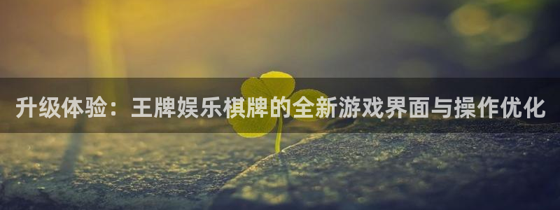 环球360私网代理合作