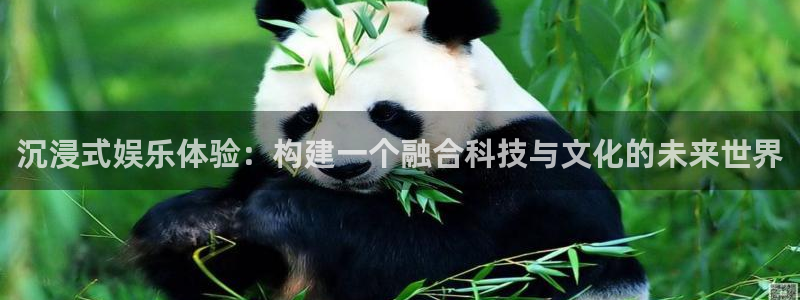 环球360一比一代理合作
