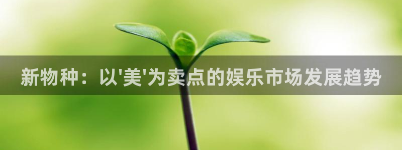 环球360娱乐官网免费观看