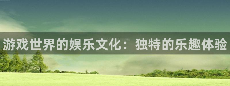 环球360私网代理合作