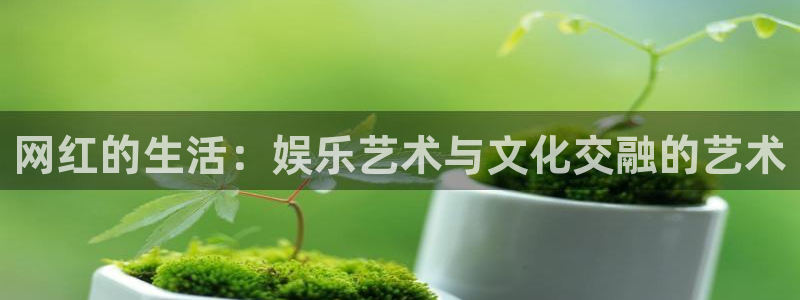 环球360：网红的生活：娱乐艺术与文化交融的艺术