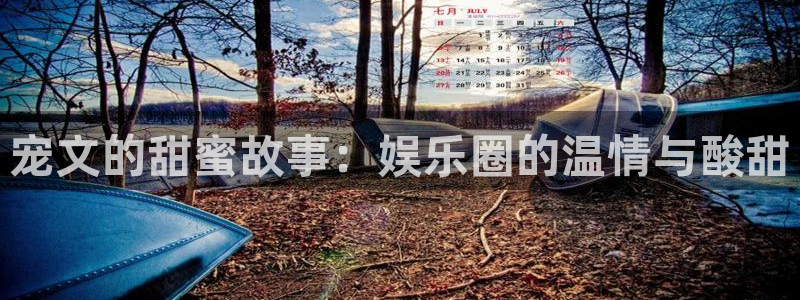 环球360一比一代理合作：宠文的甜蜜故事：娱乐圈的温情与酸甜