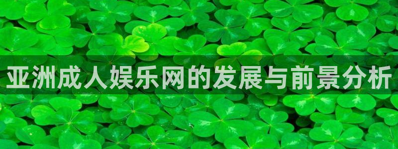 环球360官网：亚洲成人娱乐网的发展与前景分析