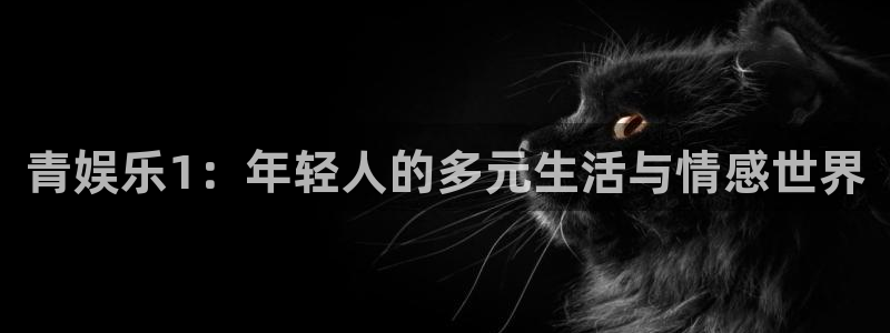 环球360一比一代理合作：青娱乐1：年轻人的多元生活与情感世界