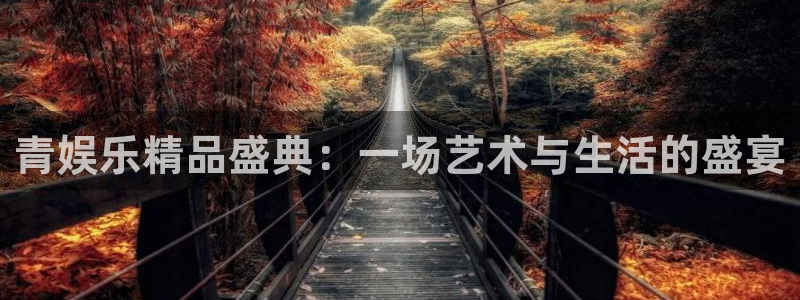 环球360私网代理合作：青娱乐精品盛典：一场艺术与生活的盛宴