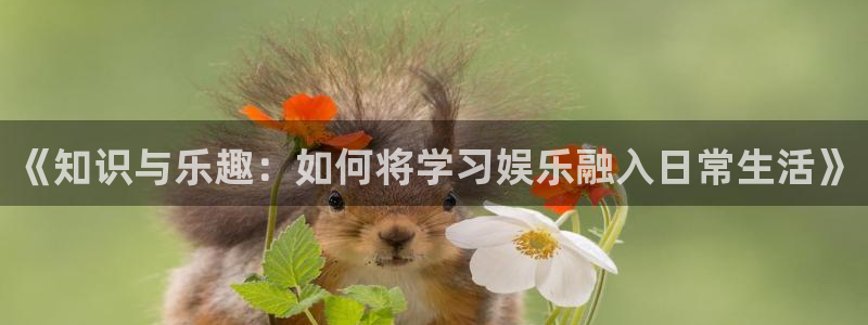 环球360娱乐官网免费观看：《知识与乐趣：如何将学习娱乐融入日常生活》